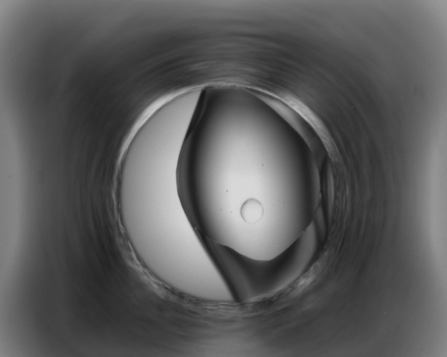 X0000086740956200704201703