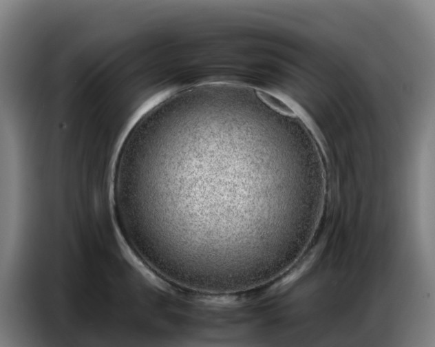 X0000086740957200704201703