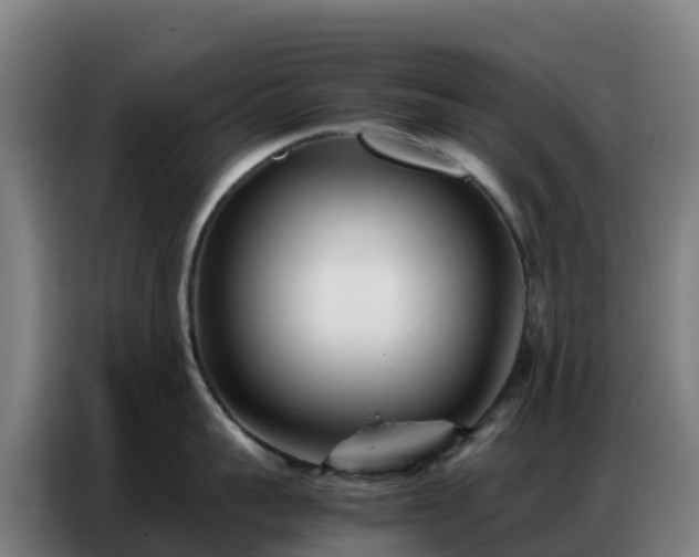 X0000086740959200704201703
