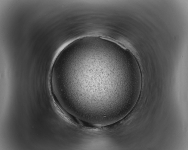 X0000086740960200704201703