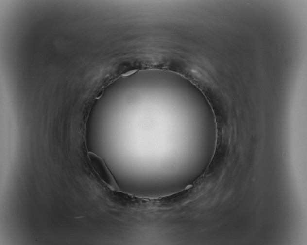 X0000086740961200704201702