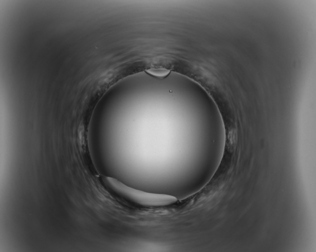 X0000086740963200704201702