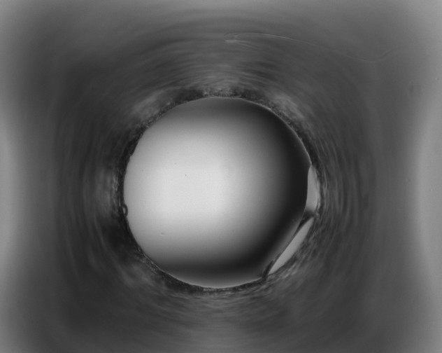 X0000086740964200704201702