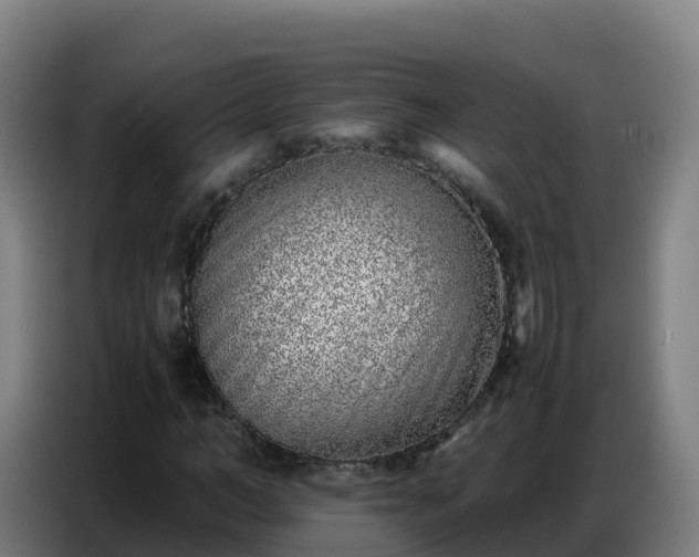 X0000086740966200704201702