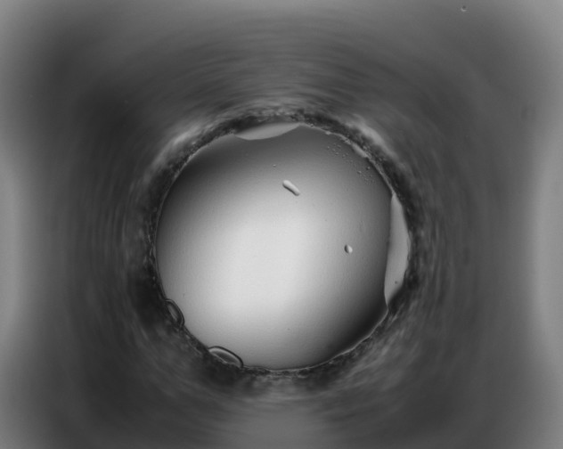 X0000086740967200704201702