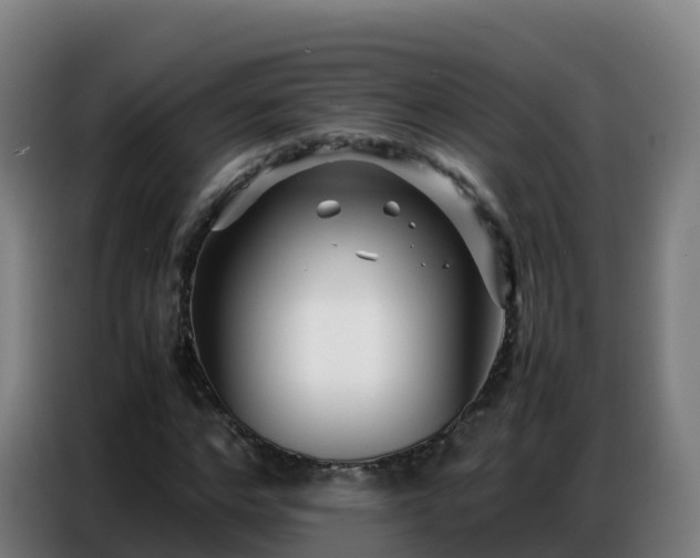 X0000086740968200704201702