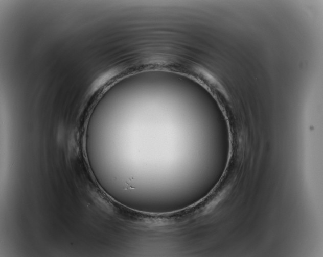 X0000086740970200704201702