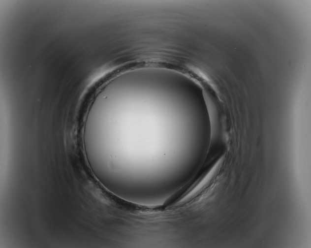 X0000086740971200704201702