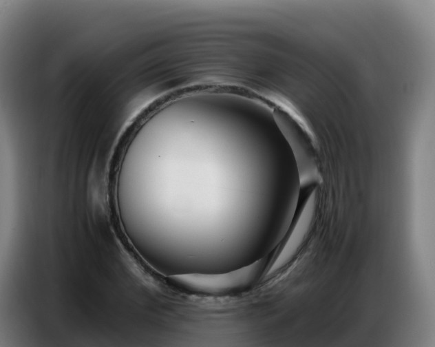 X0000086740972200704201702