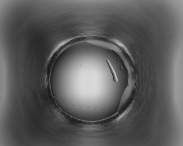 X0000086740973200704201702