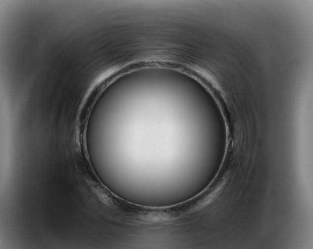 X0000086740974200704201702