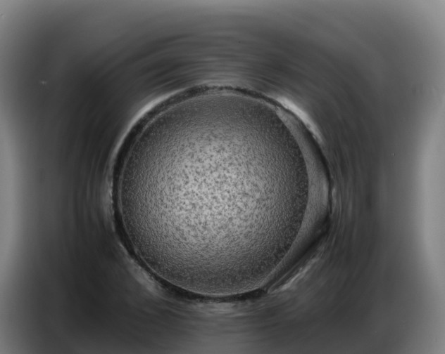 X0000086740976200704201702