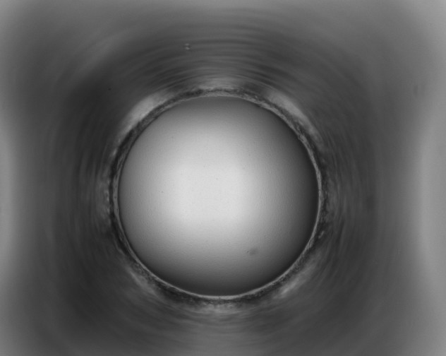 X0000086740978200704201702
