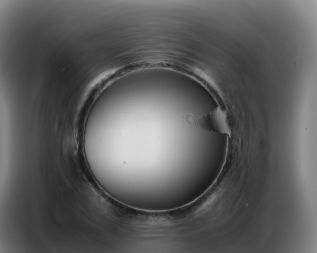 X0000086740979200704201702