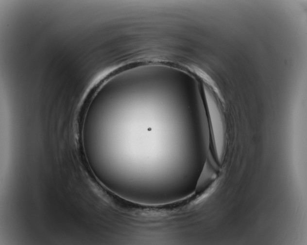 X0000086740981200704201702
