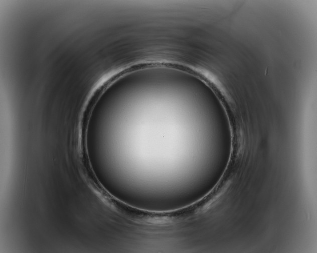 X0000086740982200704201702