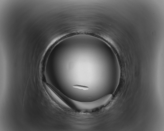X0000086740983200704201702