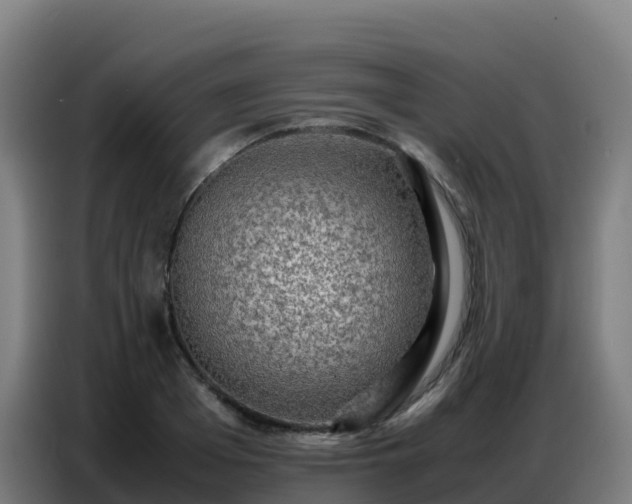 X0000086740985200704201702