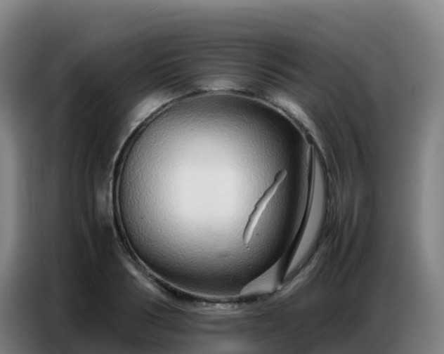 X0000086740986200704201702