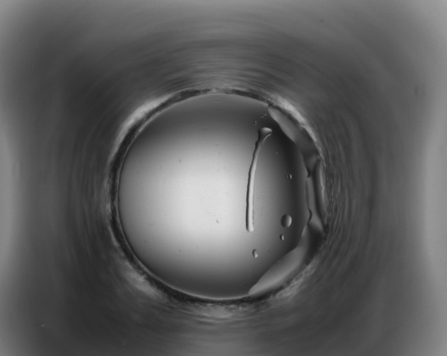 X0000086740987200704201702