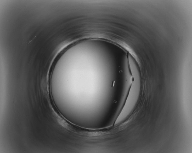 X0000086740988200704201702