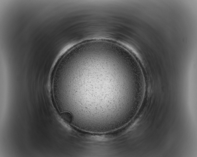 X0000086740990200704201702
