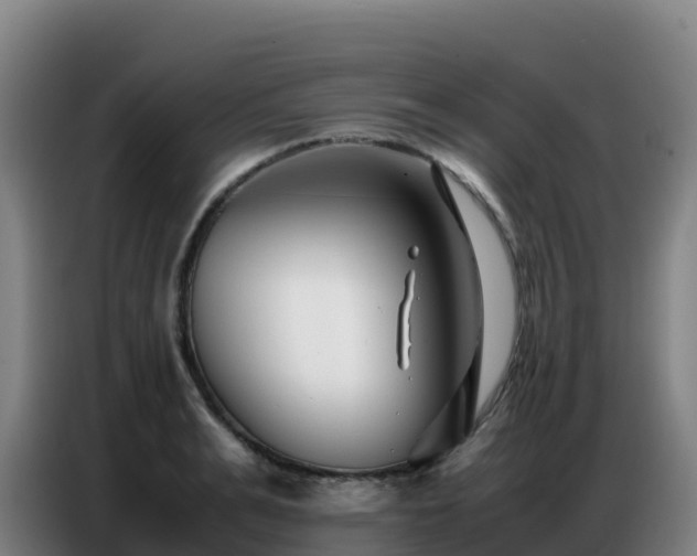 X0000086740991200704201702