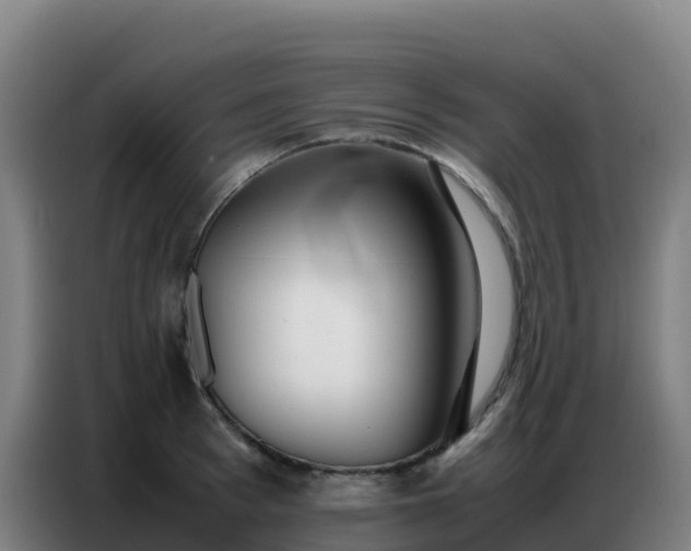 X0000086740993200704201702