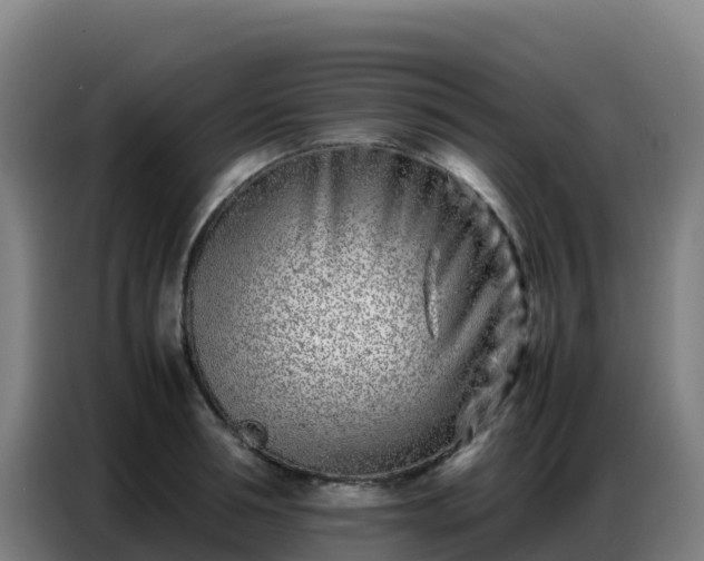 X0000086740994200704201702