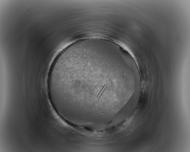 X0000086740995200704201702