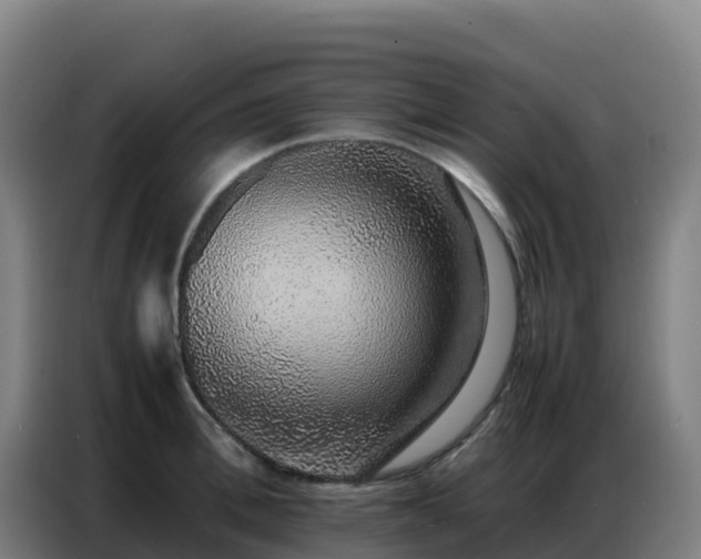 X0000086740996200704201702