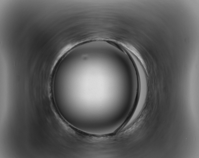 X0000086740997200704201702