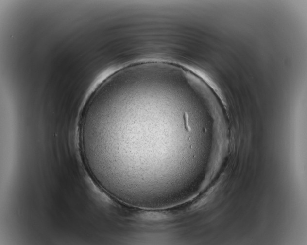 X0000086740998200704201702