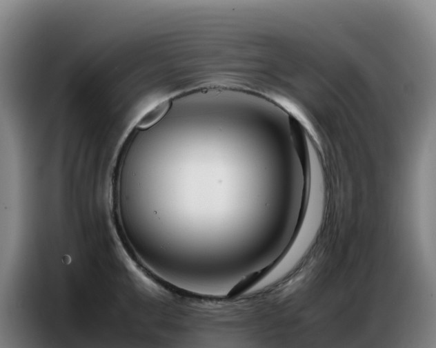 X0000086740999200704201702