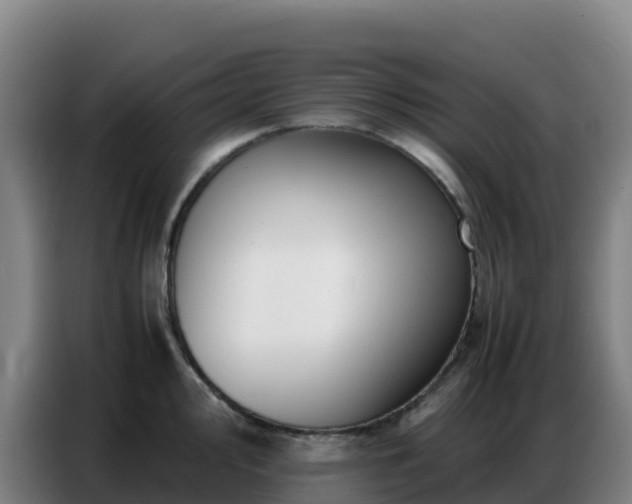 X0000086741000200704201702