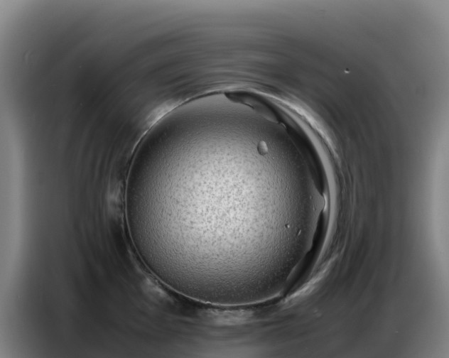 X0000086741001200704201702