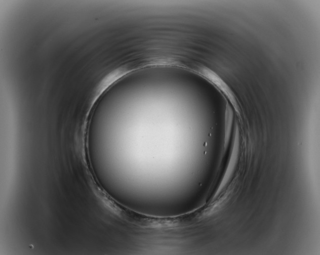 X0000086741002200704201702
