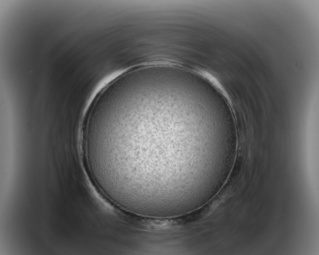 X0000086741003200704201702