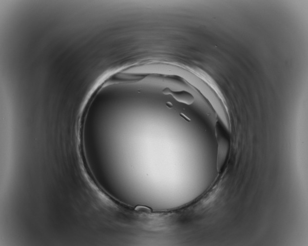 X0000086741005200704201702