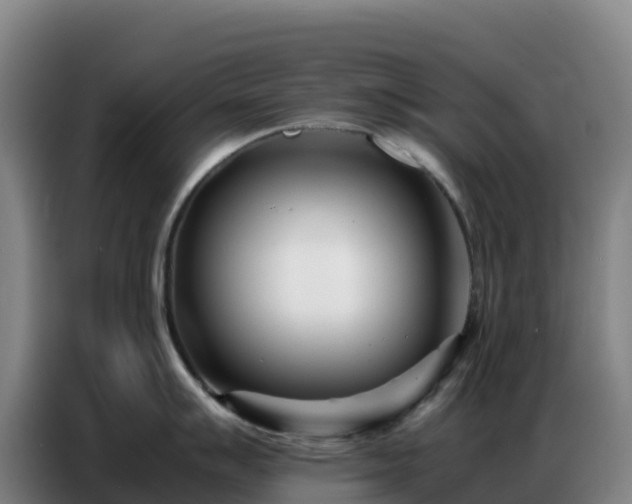 X0000086741007200704201702