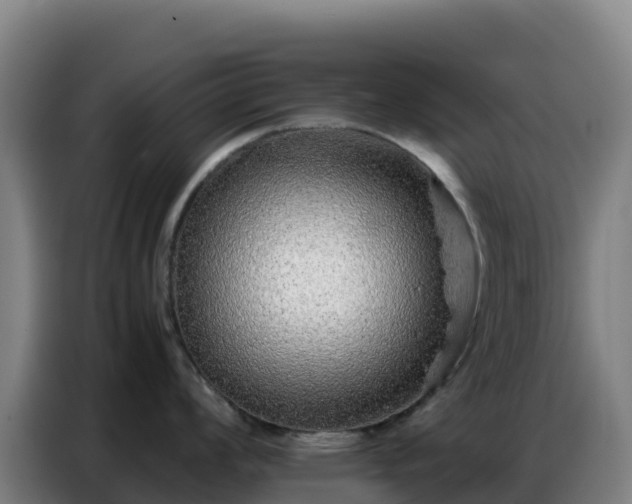 X0000086741008200704201702
