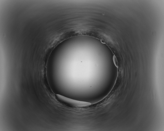 X0000086741012200704201701