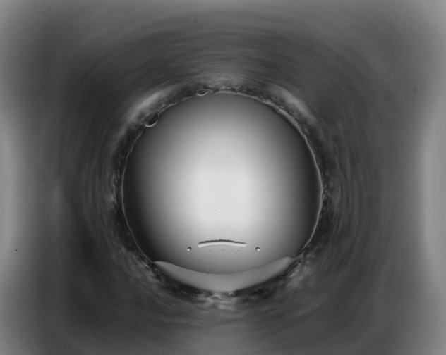 X0000086741016200704201701