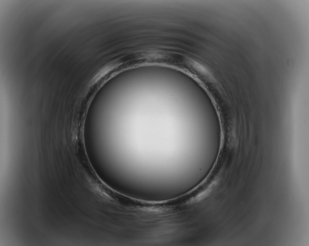 X0000086741017200704201701