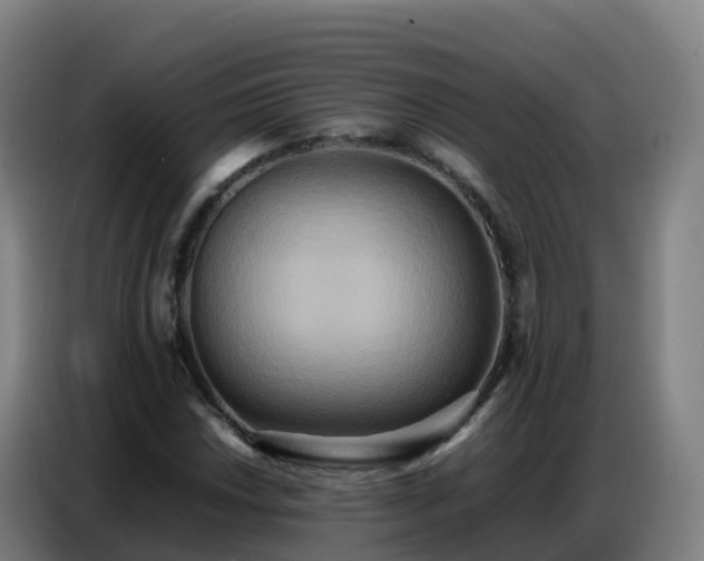 X0000086741018200704201701