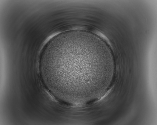 X0000086741019200704201701