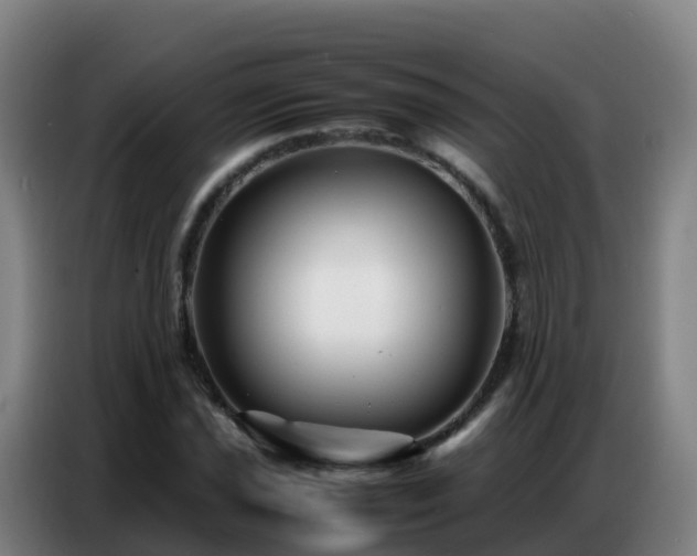 X0000086741021200704201701