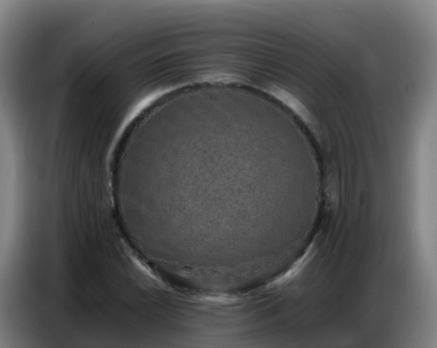 X0000086741022200704201701