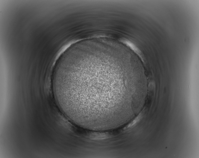 X0000086741023200704201701