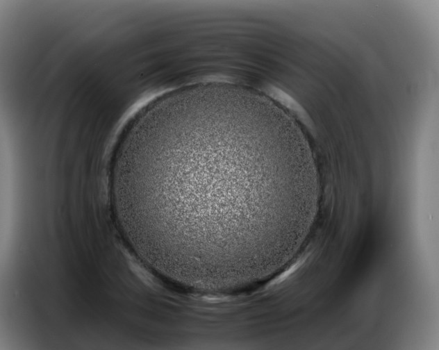 X0000086741027200704201701